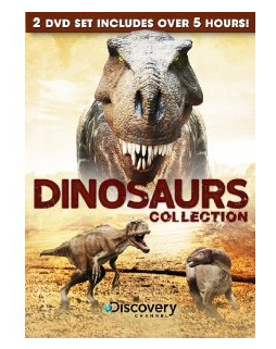 Amazon Discovery Channel