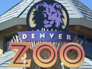 Denver-Zoo-Coupon