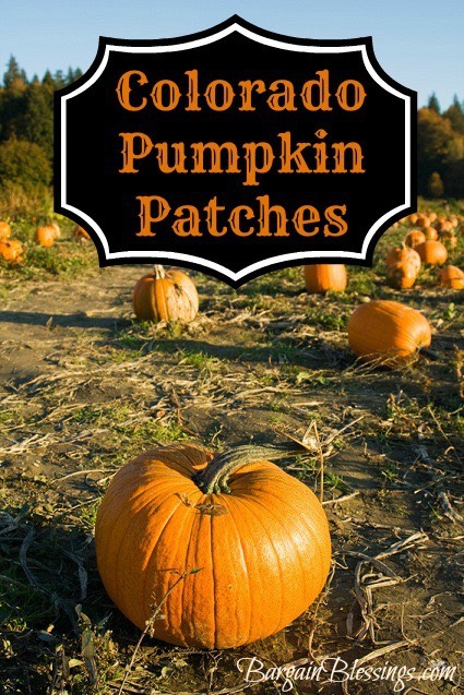 Colorado Pumpkin Patch